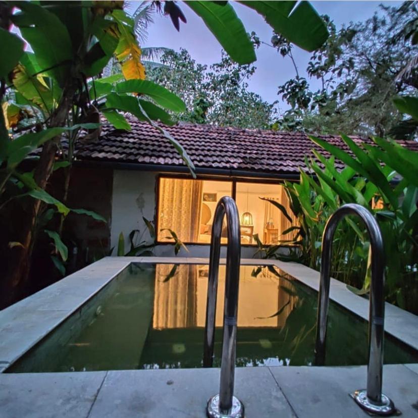 Sunsets And Palm Trees Acomodação com café da manhã Alappuzha Exterior foto